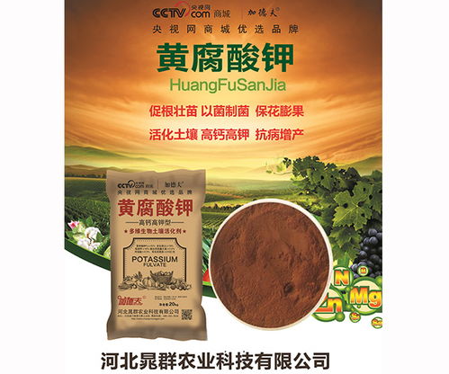 弱碱性生物肥料助力现代农业 河北晁群农业科技的水溶肥创新实践