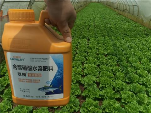 大量元素水溶肥使用注意事项 科学施用，提质增效